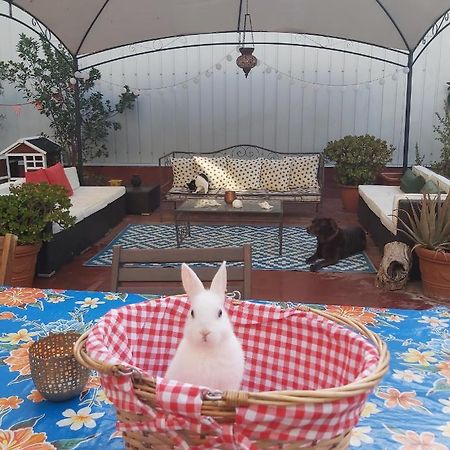 Small Room In Sants With Huge Terrace Barcellona Esterno foto