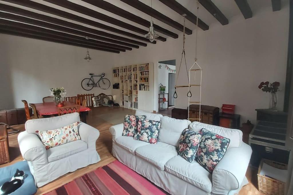 Small Room In Sants With Huge Terrace Barcellona Esterno foto